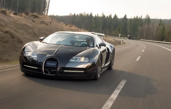 Bugatti, veyron, supercar, mansory, 2009, lincea vincero