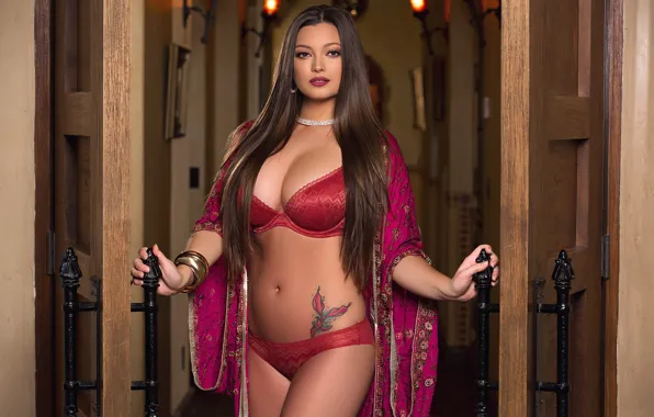 Look, sexy, hair, form, beauty, lingerie, robe, Chelsie Aryn