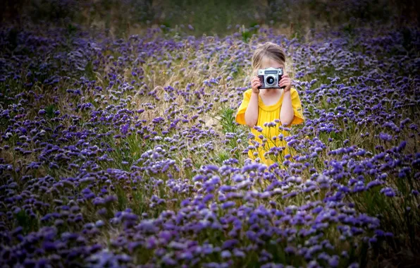 Picture summer, camera, girl