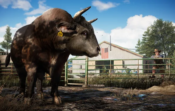 Far Cry, bull, FC5, Far Cry 5, FC 5, EDGE LIGHTS, EDGE LIGHTS 5, FARCRY