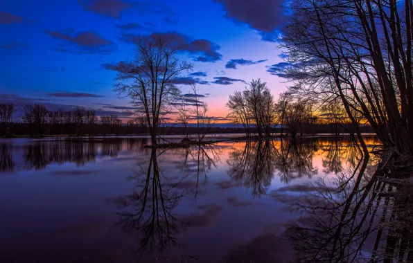 Picture the sky, clouds, trees, sunset, orange, lake, reflection, the evening