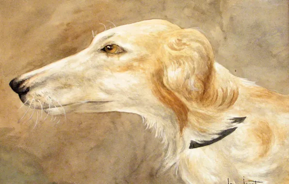 Louis Icart, Portrait of Greyhound, watercolor and pencil