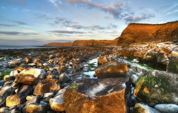 Picture sea, algae, stones, shore, the bottom, tide, steep