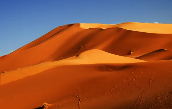 Picture sand, the sky, desert, barkhan