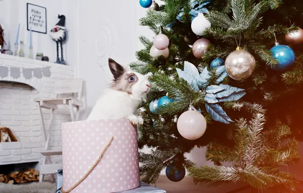 Balls, branches, room, box, hare, rabbit, Christmas, New year