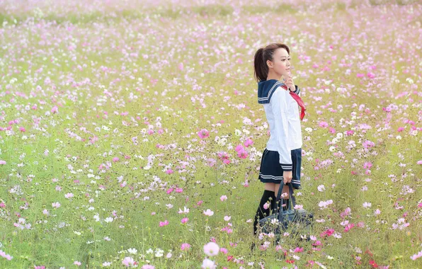 Picture field, girl, flowers, form, Thirteen leaves