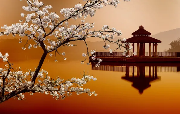 Picture Sakura, Sakura, Eastern landscapes, house on the water, house on the water, Eastern landscapes