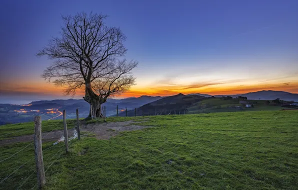 Trees, sunset, the fence
