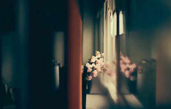 Flowers, petals, pink