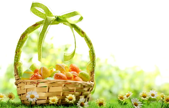 Picture grass, flowers, basket, chamomile, eggs, spring, colorful, Easter