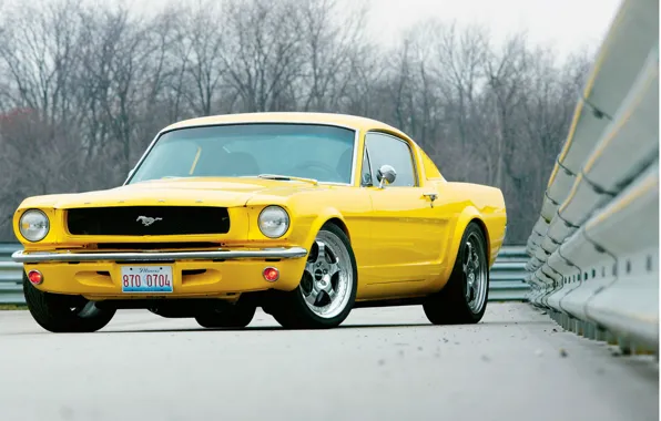 Wallpaper, Mustang, Ford, Muscle, Car, 1965, wallpapers