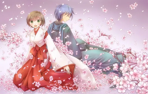 Girl, flowers, Sakura, art, guy, vocaloid, meiko, kaito