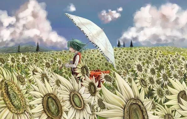 Picture field, girl, clouds, trees, sunflowers, flowers, umbrella, umbrella