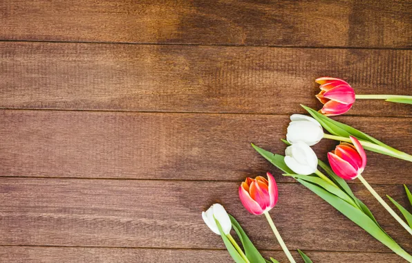 Flowers, bouquet, colorful, tulips, red, white, wood, flowers