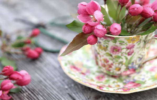 Flowers, background, Cup