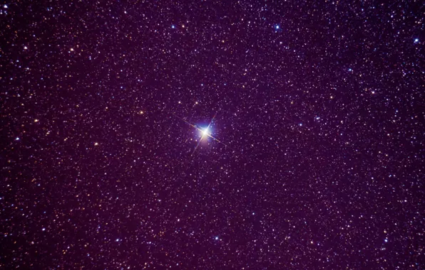 Picture the sky, swans, constellation, hemisphere, North, Cygnus, star