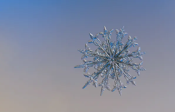 Picture BACKGROUND, ICE, WINTER, MACRO, PATTERN, SNOWFLAKE