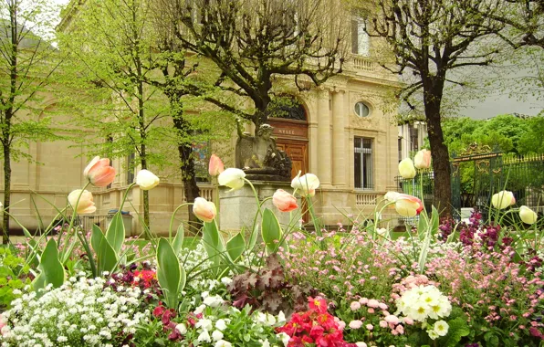 Flowers, castle, France, garden