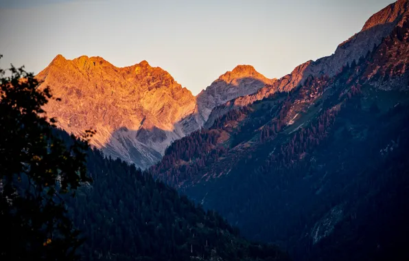 Picture forest, the sky, trees, sunset, mountains, nature, rocks, Switzerland