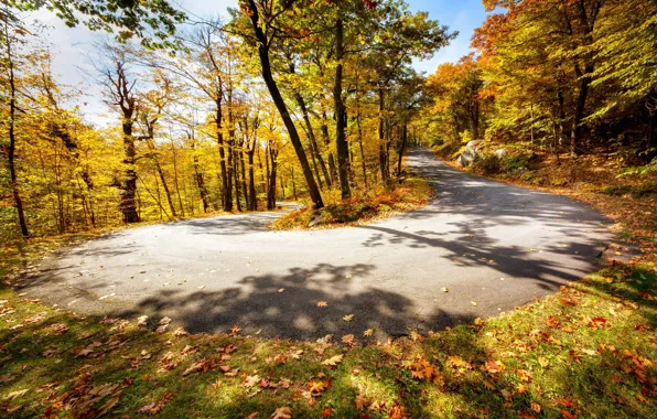 Road, autumn, turn