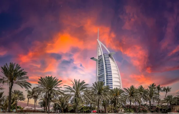 The sky, sunset, palm trees, skyscraper, Dubai, architecture, UAE