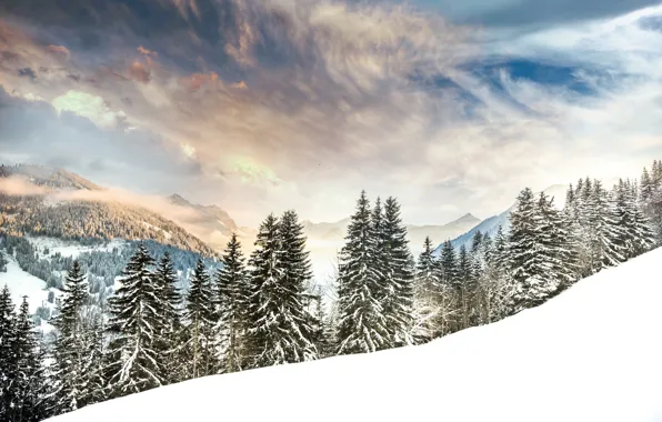 Winter, forest, snow, trees, mountains, Switzerland, ate, Alps