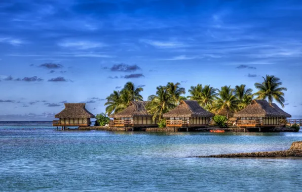 Picture sea, clouds, palm trees, island