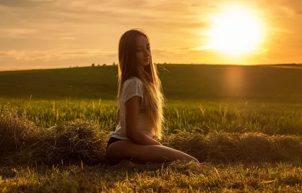 Field, grass, the sun, landscape, sexy, pose, model, panties