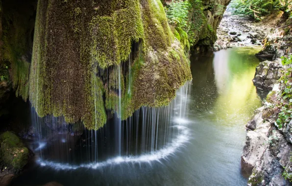 Picture nature, water, rocks, plants, River, moss, long exposure, rainforest