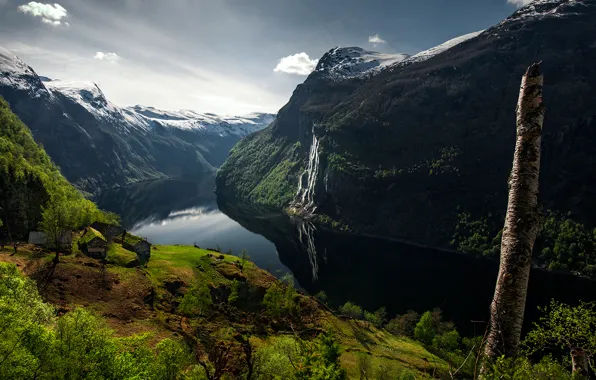 Picture river, Norway, Green fjord