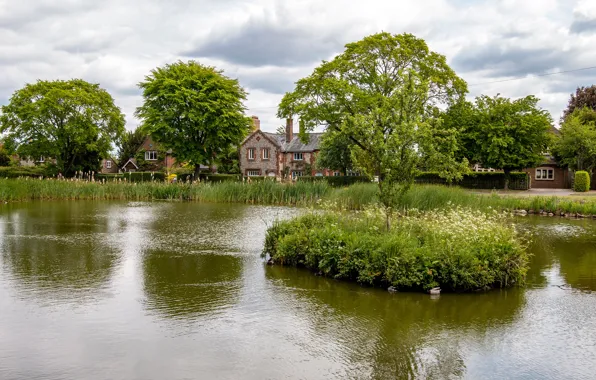 Clouds, trees, pond, England, home, reed, Tylers Green