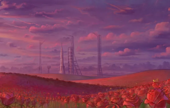 Picture field, the sky, roses, rocket, spaceport