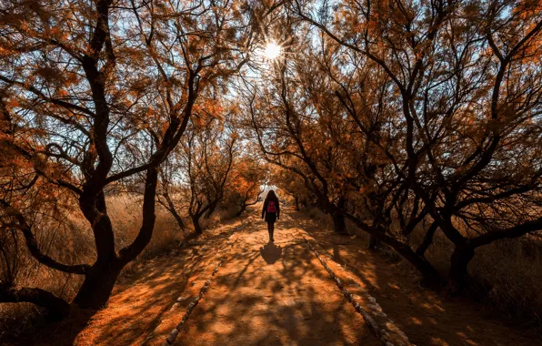 Picture Park, schoolgirl, road, backpack, back, mood, trunk, alley