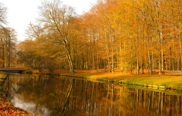Picture autumn, forest, bridge, pond, Park, river