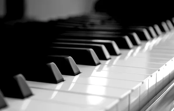 Piano, keys, white, black
