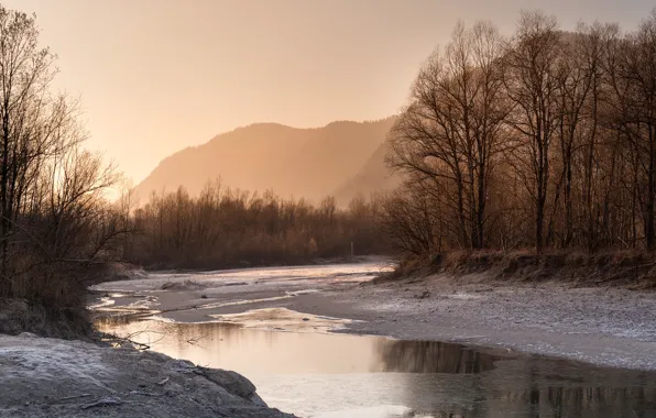 Picture ice, winter, frost, autumn, forest, the sky, light, trees