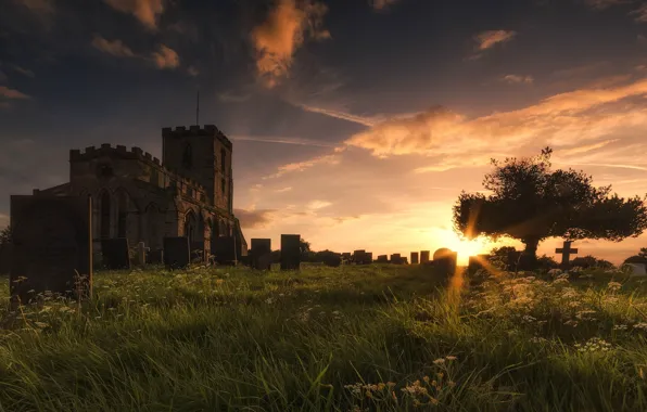 Picture the sky, grass, the sun, clouds, trees, sunset, castle, lawn