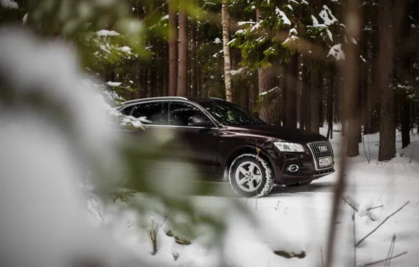 Car, machine, auto, forest, fog, Audi, audi, race