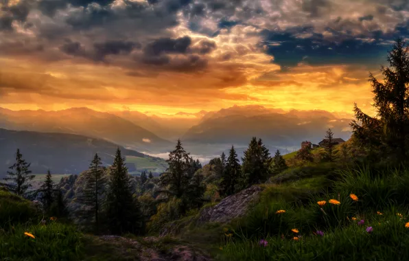 Picture the sky, grass, clouds, trees, sunset, flowers, mountains, treatment