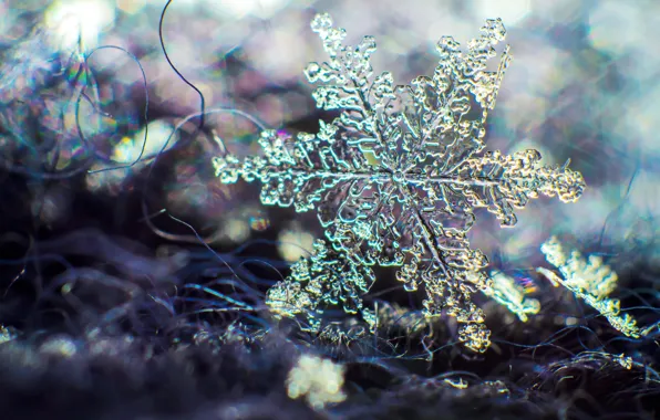 Picture macro, snowflake, hq Wallpapers