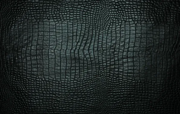 Picture texture, leather, crocodile, black