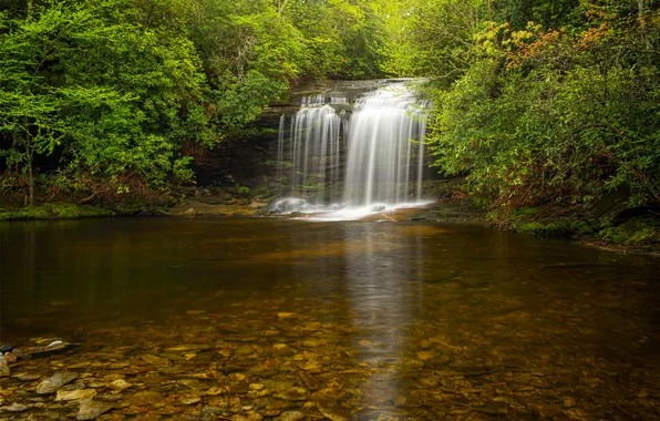 Forest, stones, rocks, shore, foliage, waterfall, stream, shrubs