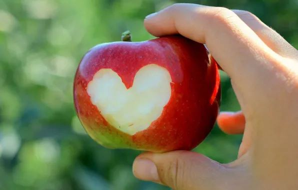 Heart, Apple, hand