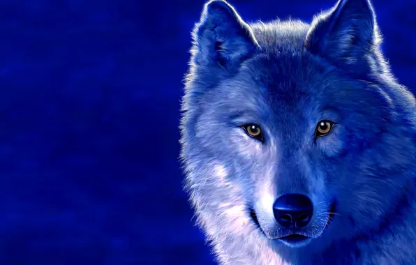 Picture blue, figure, wolf