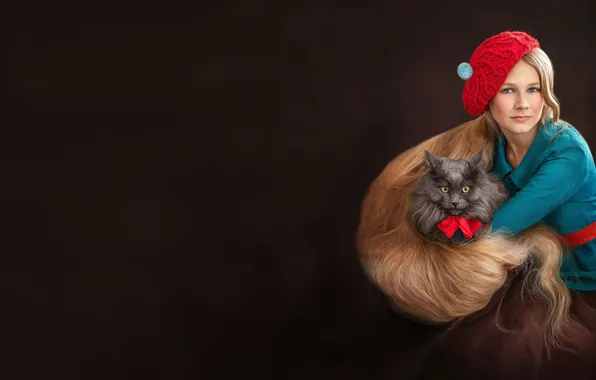 Cat, cat, look, girl, red, the dark background, grey, hair