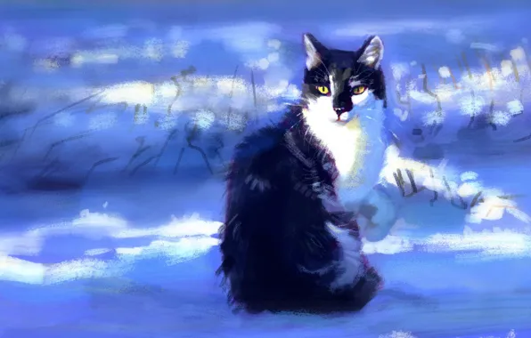 Picture winter, cat, snow, sitting, by Meorow
