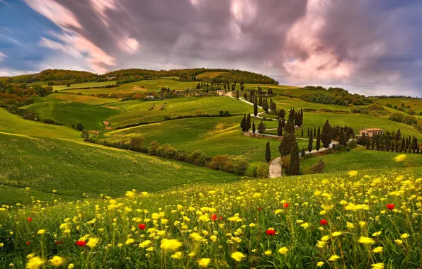 Summer, the sky, clouds, trees, flowers, mountains, hills, the slopes