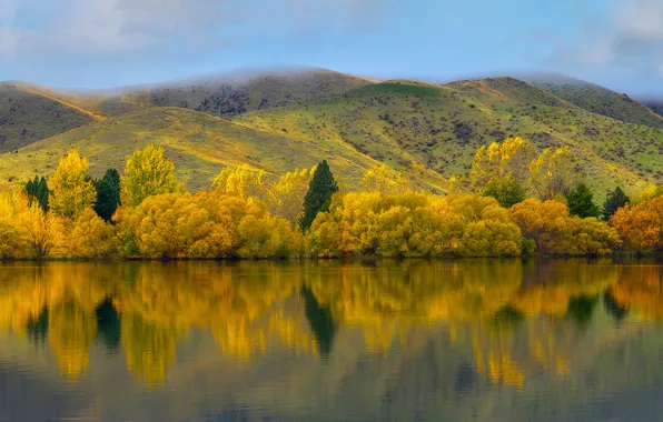 Autumn, forest, lake, reflection, hills, shore, shrubs, yellow trees