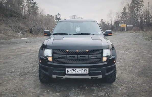 Car, machine, forest, SUV, ford, Ford, raptor, pickup