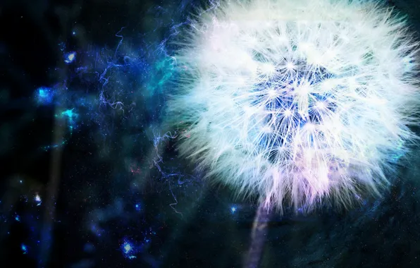 Picture energy, blue, dandelion